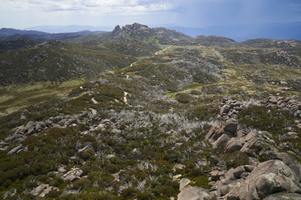 Blick von The Horn, Mount Buffalo NP
