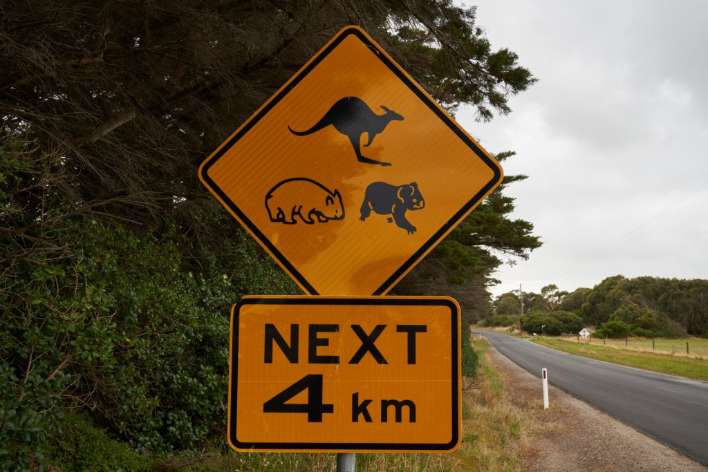 Wilsons Promontory NP