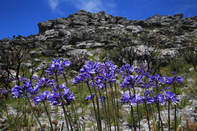 Wanderung Echo Valley, Kalk Bay
