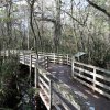 Holzsteg, Corkscrew Swamp Sanctuary