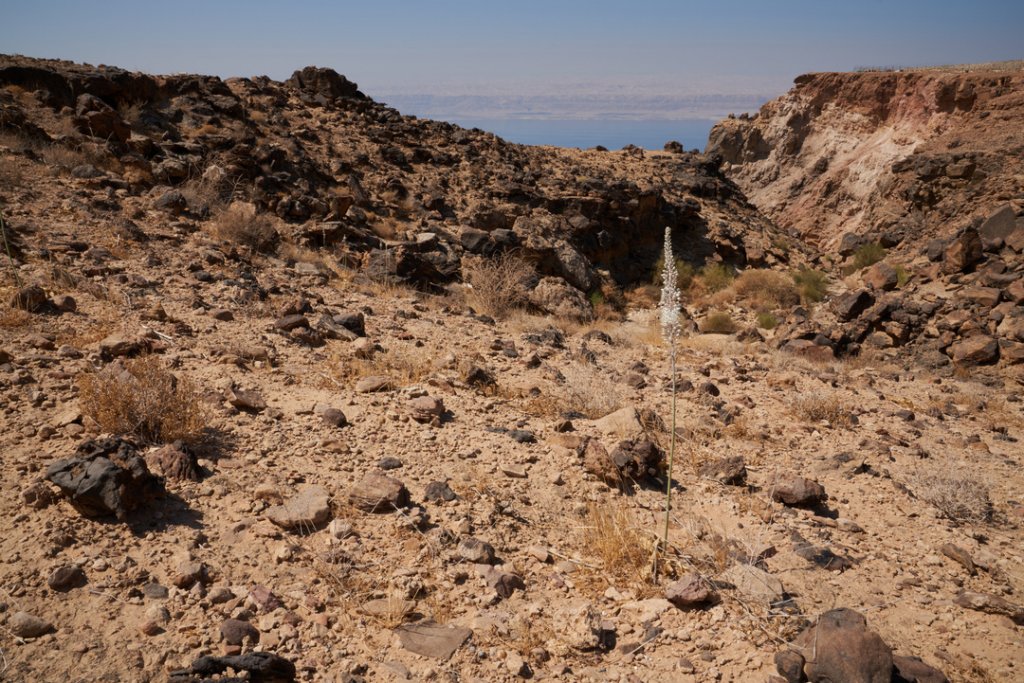 Zara Cliff Trail, Dead Sea Panoramic Complex