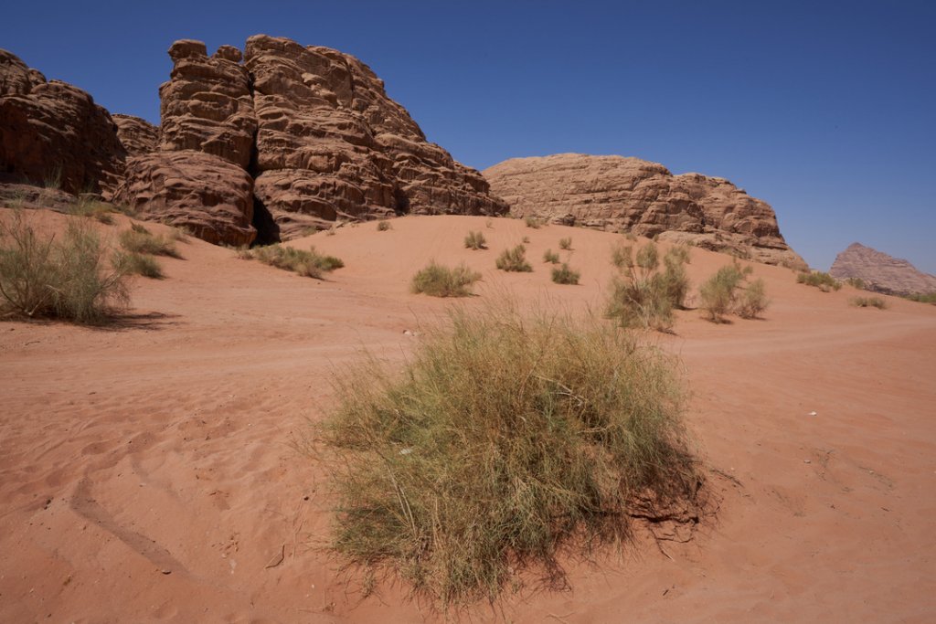 Wadi Rum