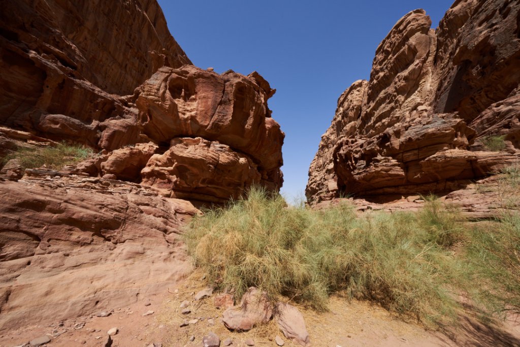 Canyon, Wadi Rum