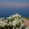 Zara Cliff Trail, Dead Sea Panoramic Complex