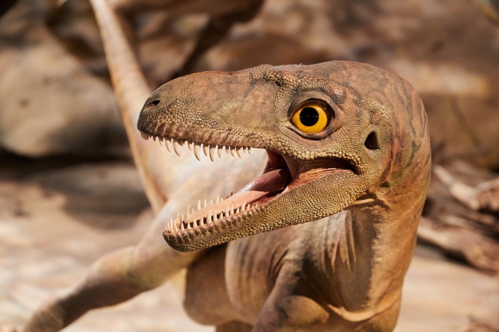 Royal Tyrrell Museum, Dinosaur Trail