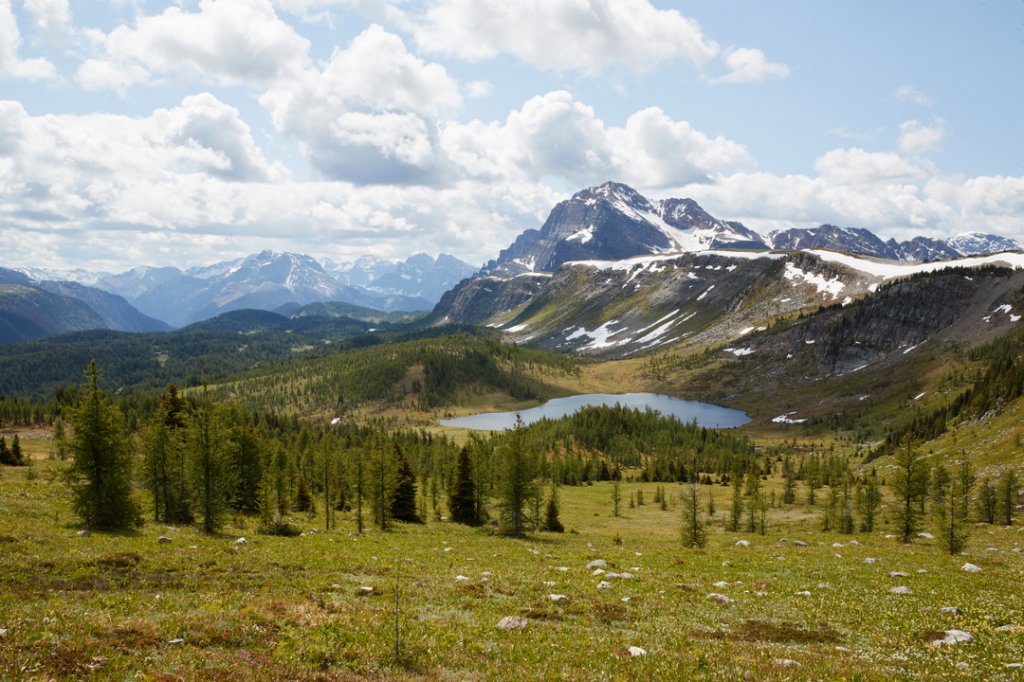 Healy Pass Trail, Banff NP