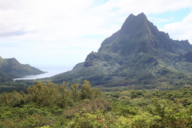 Opunohu Bay, Moorea