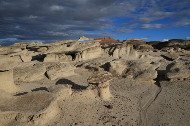 Wings, Bisti Wilderness