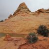 Cottonwood, Coyote Buttes South