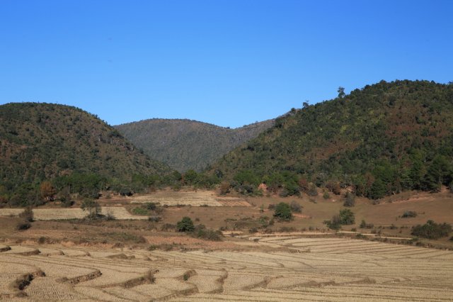 Reisfelder bei Kalaw