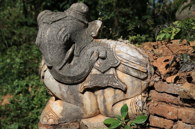 Elefant, Indein