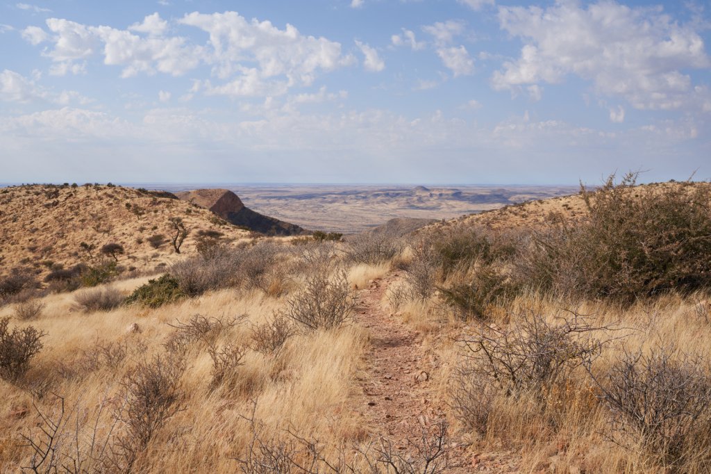 Olive Trail, Namib-Naukluft-Nationalpark