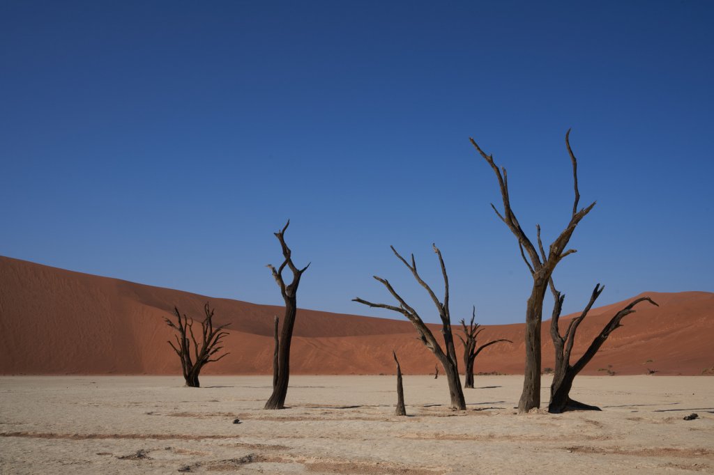 Dead Vlei