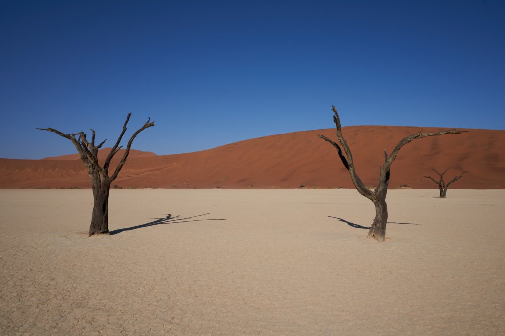 Dead Vlei
