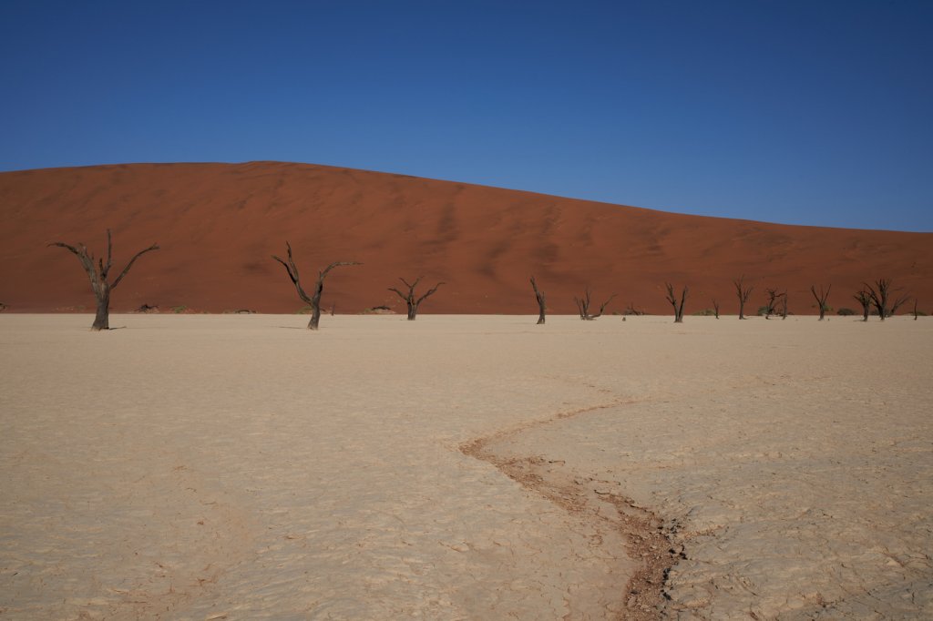 Dead Vlei