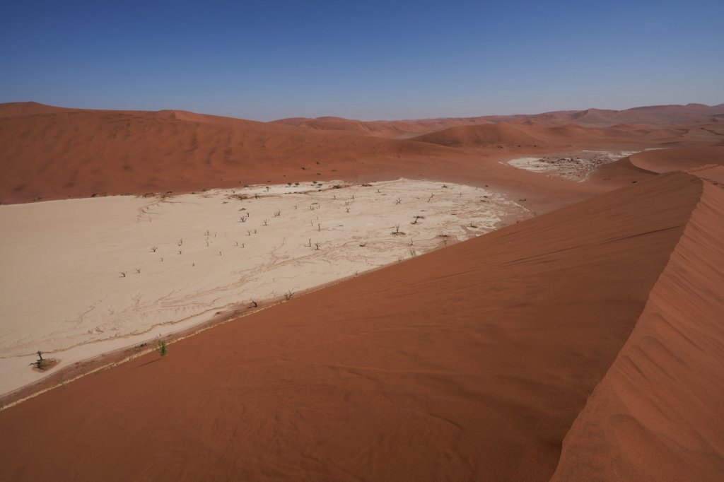 Dead Vlei