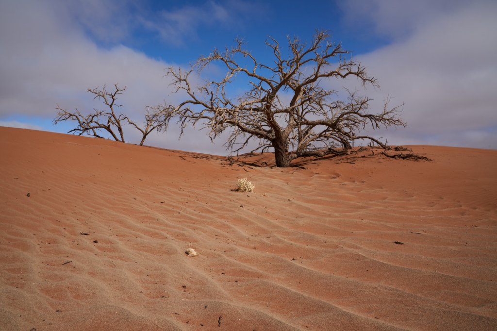 Wanderung Hidden Vlei