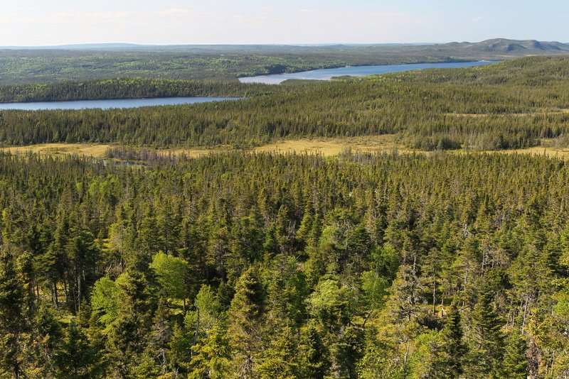 Terra Nova NP