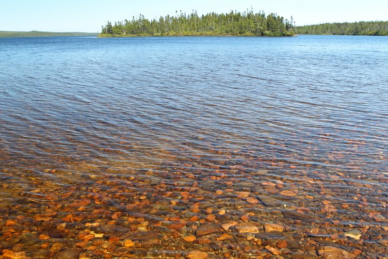 Dunphy´s Pond, Terra Nova NP