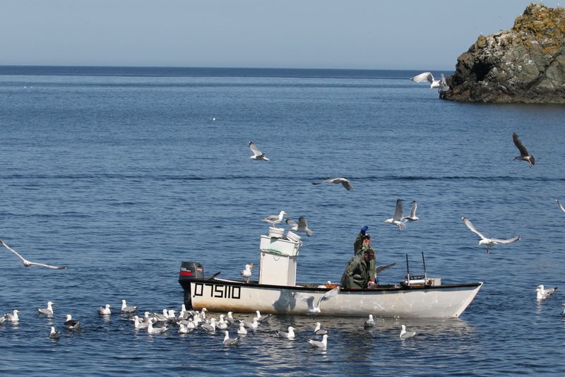 Fischer vor Twillingate