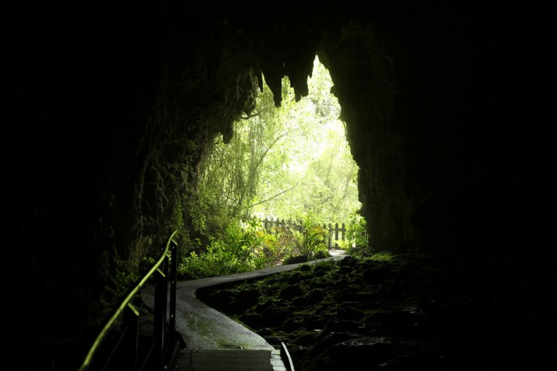Tropfsteinhöhle, Waitomo
