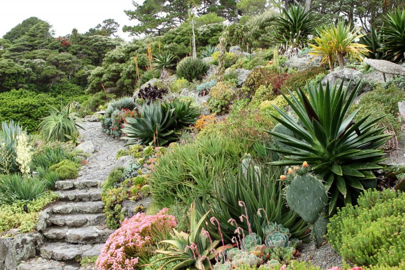 Botanischer Garten, Wellington