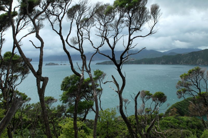 Marlborough Sounds
