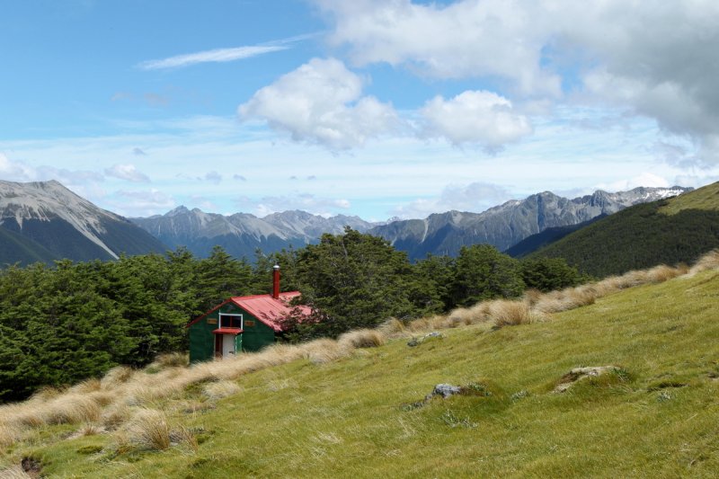 Bushline Hut, Mount Robert