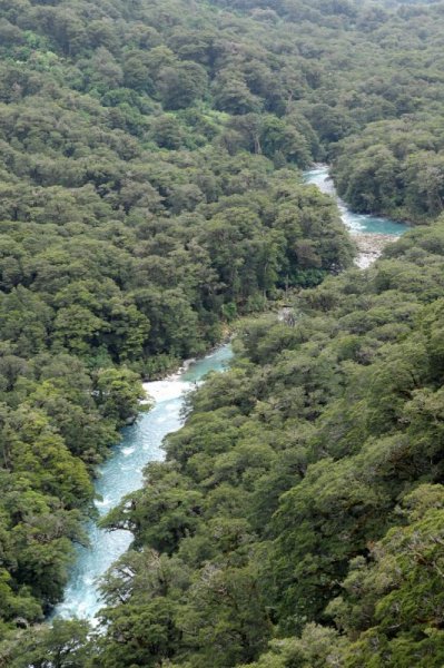  Hollyford River 