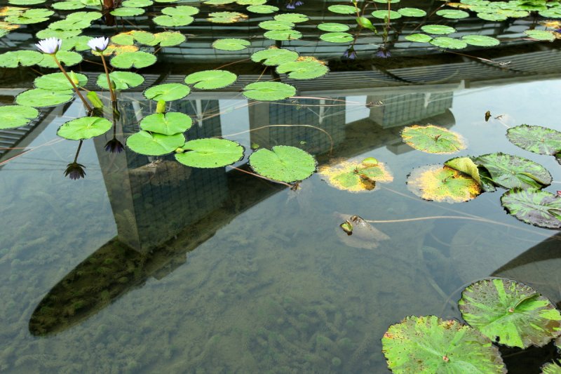 Marina Bay Sands, Singapur