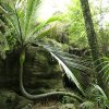 Grove Scenic Reserve, Abel Tasman Drive
