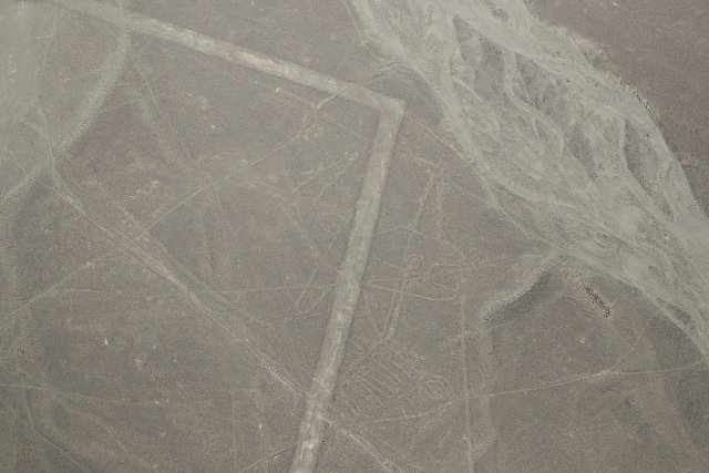Wal, Nazca-Linien