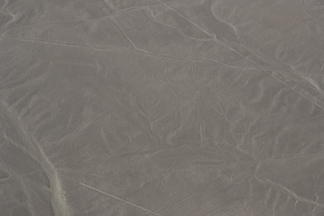 Affe, Nazca-Linien