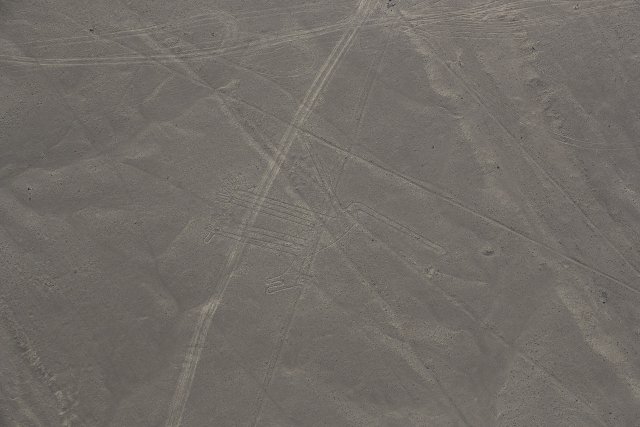 Hund, Nazca-Linien