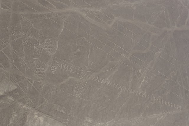 Fregattvogel, Nazca-Linien