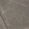 Spinne, Nazca-Linien
