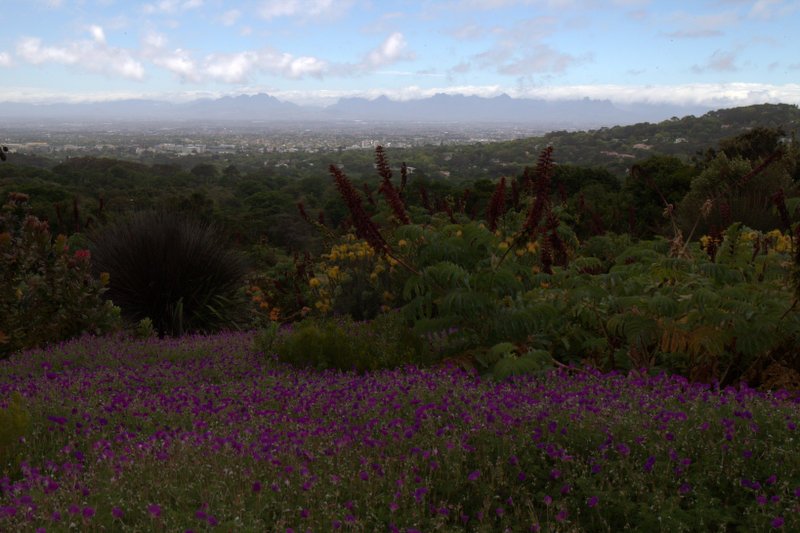 Blick vom Botan. Garten Kirstenbosch