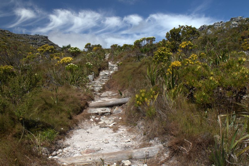 Kasteelpoort Route, Tafelberg