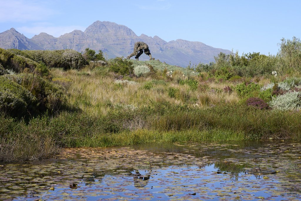 Dylan Lewis Skulpturengarten, Stellenbosch