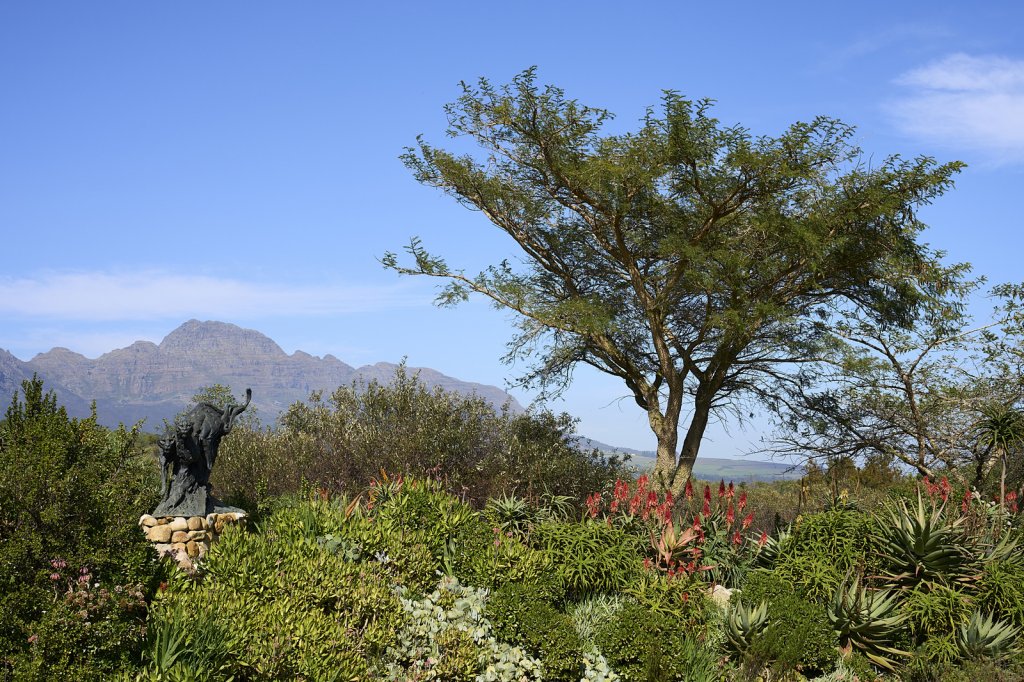 Dylan Lewis Skulpturengarten, Stellenbosch