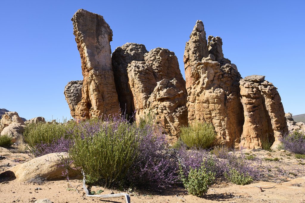 Valley of the Red Gods, Cederberge