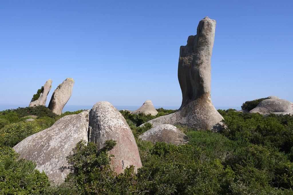 Steenbok Trail, West Coast NP