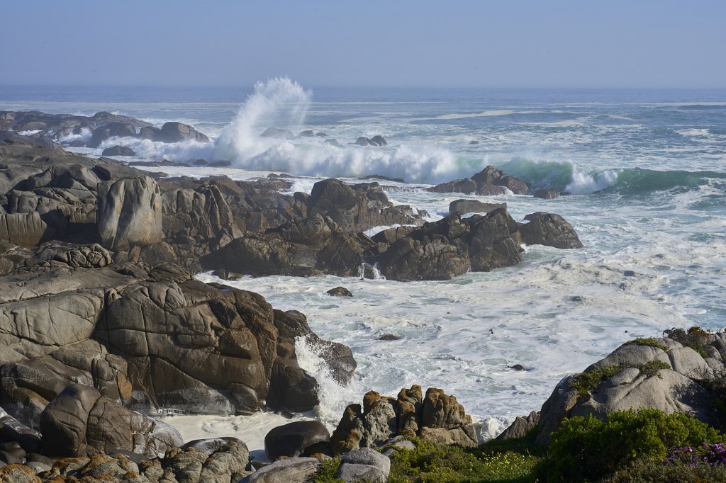 Küste, Steenbok Trail, West Coast NP
