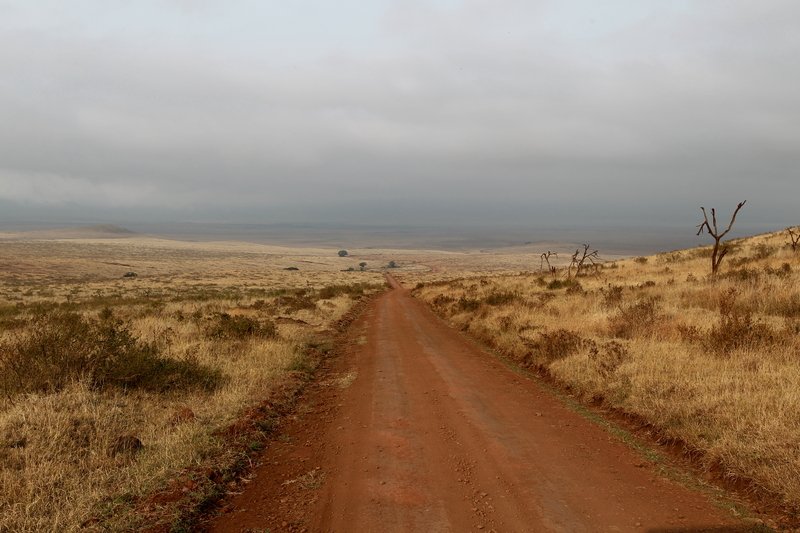 Piste, Ngorongoro Crater