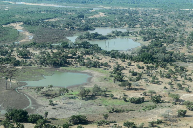 Luftaufnahme, Selous Game Reserve