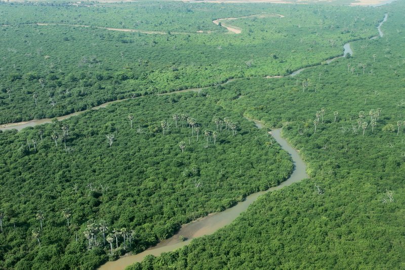 Luftaufnahme, Selous Game Reserve