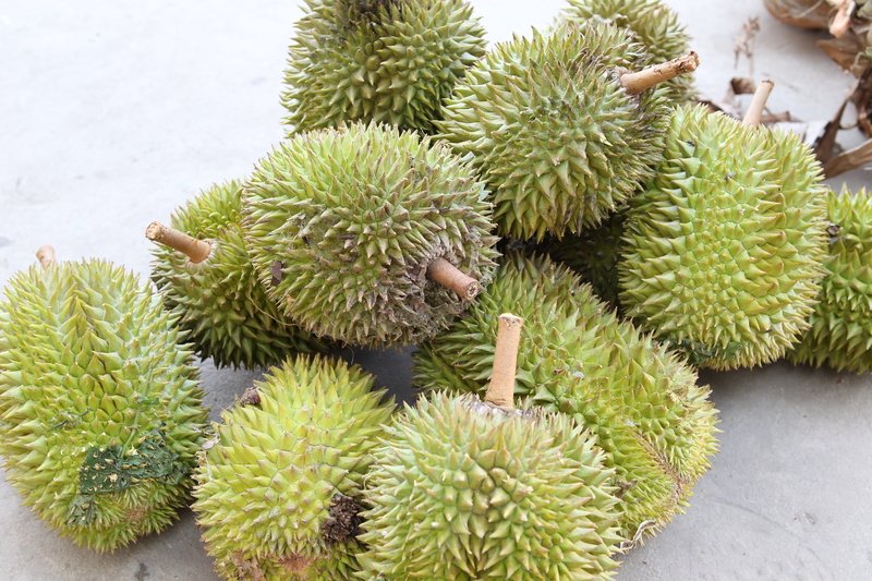 Durian