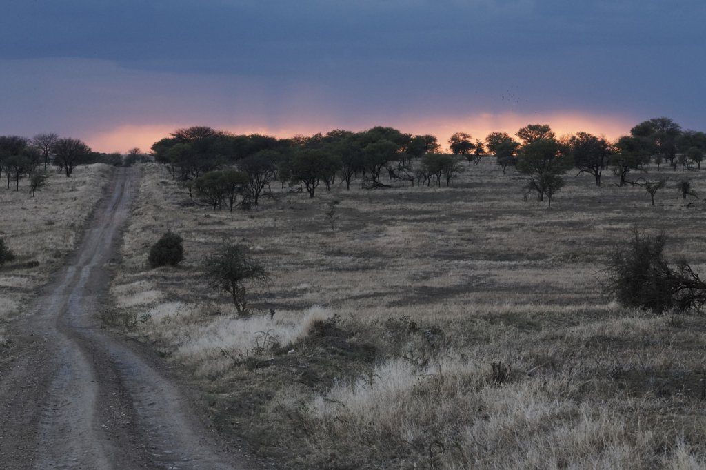 Sonnenuntergang, Serengeti