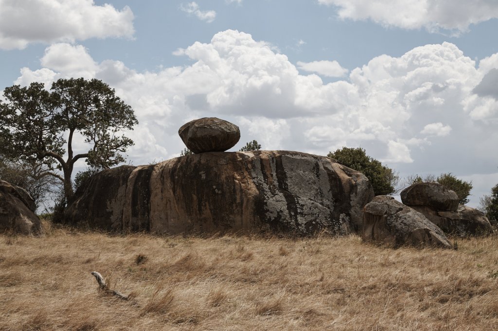 Lobo Hills, Serengeti