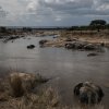 Mara-Fluß, Serengeti